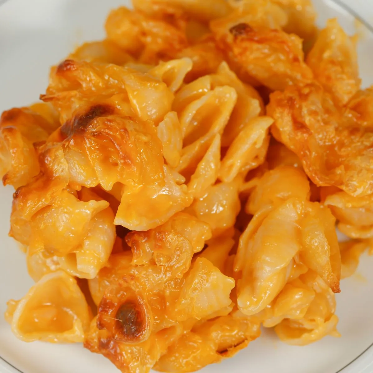slow cooker buffalo chicken mac and cheese recipe