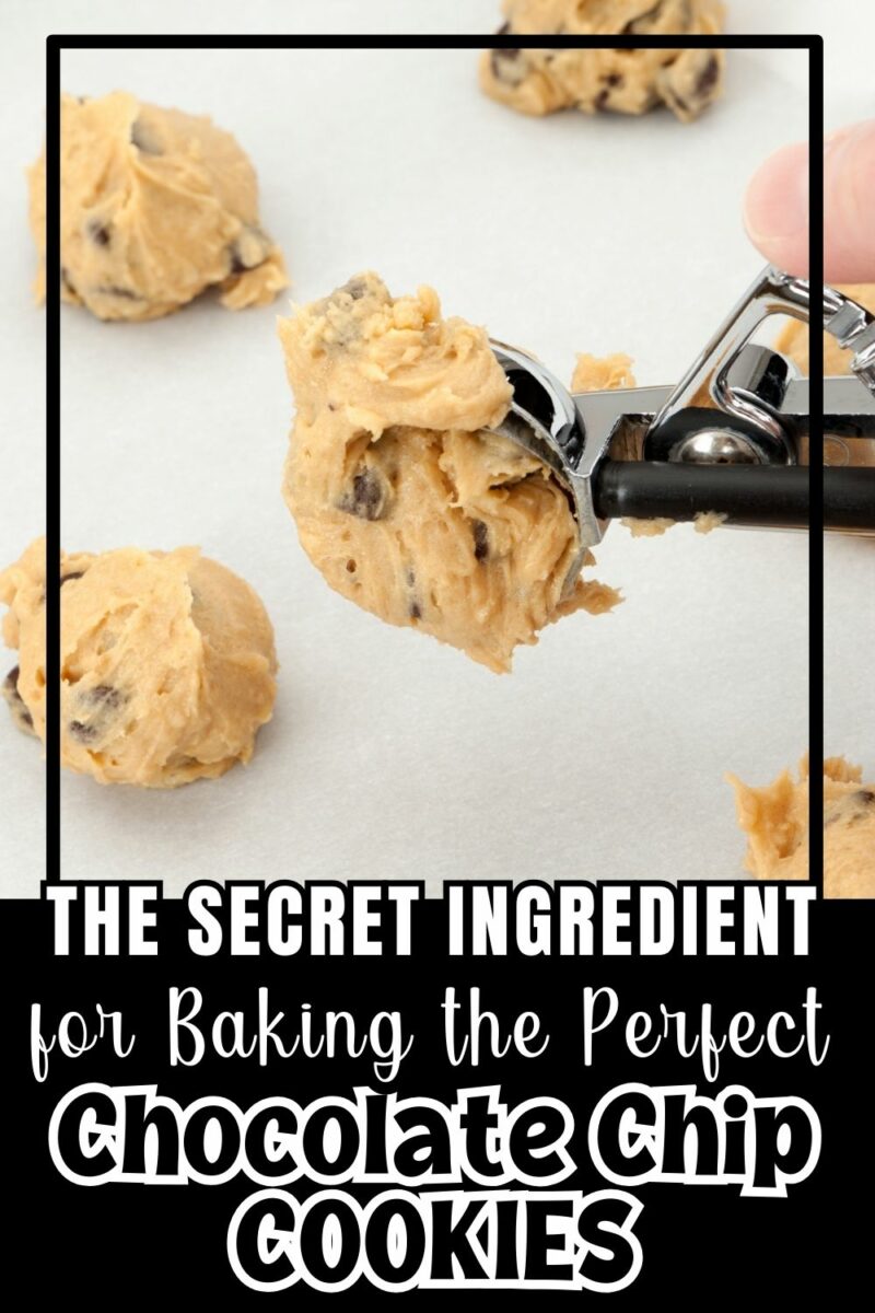 Chewy Crisco Chocolate Chip Cookies