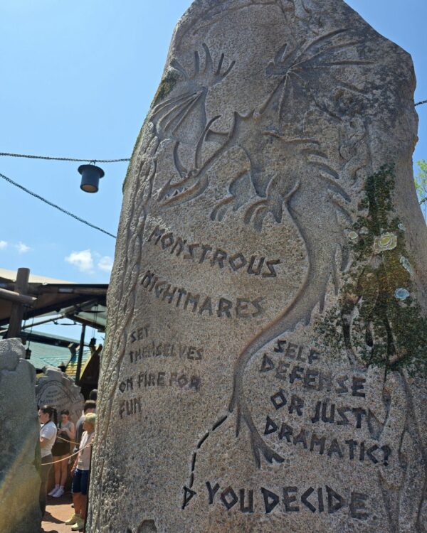 Dragon Stones at Isle of Berk Universal's Epic Universe