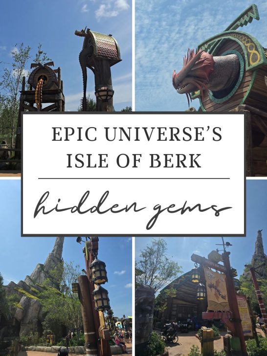 Hidden Gems at The Isle of Berk in Epic Universe