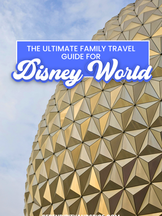 The Ultimate Guide to Planning a Family Trip to Disney World (2026 Edition) 4 The Ultimate Guide to Planning a Family Trip to Disney World (2026 Edition) The Ultimate Guide to Planning a Family Trip to Disney World (2026 Edition)