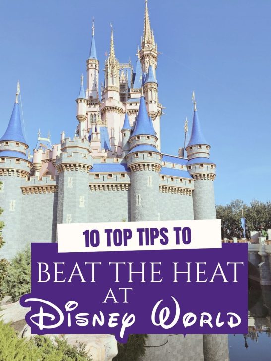 Tips to Beat the Heat at Disney World