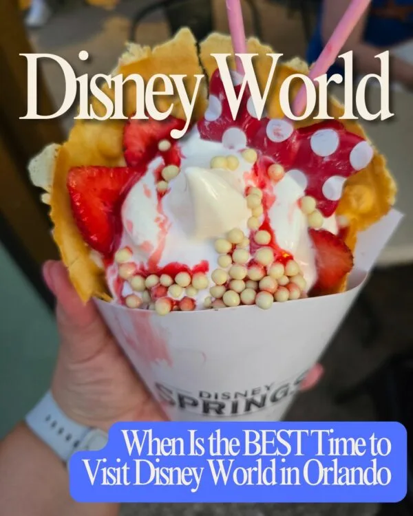 The Ultimate Guide to Planning a Family Trip to Disney World (2025 Edition) 2 The Ultimate Guide to Planning a Family Trip to Disney World (2025 Edition) When is the best time to visit Disney World in Orlando