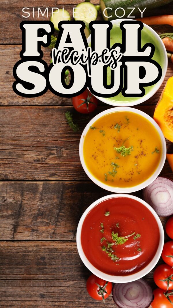 Fall Soup Recipes