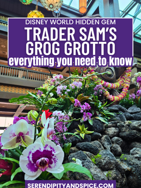 Trader Sam's Grog Grotto a Disney World Hidden Gem