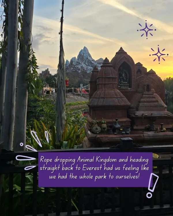 Disney World 4 Parks 1 Day Challenge WithOUT Personal Transportation 2 Disney World 4 Parks 1 Day Challenge WithOUT Personal Transportation Disney World's 4 Parks in 1 Day Challenge