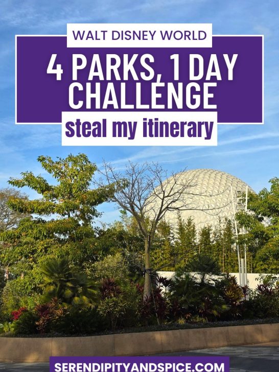 Disney World 4 Parks 1 Day Challenge
