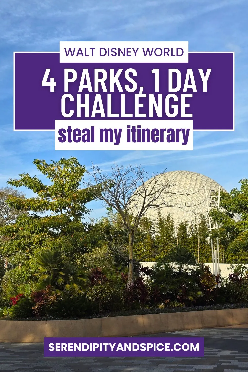 Disney World 4 Parks 1 Day Challenge WithOUT Personal Transportation