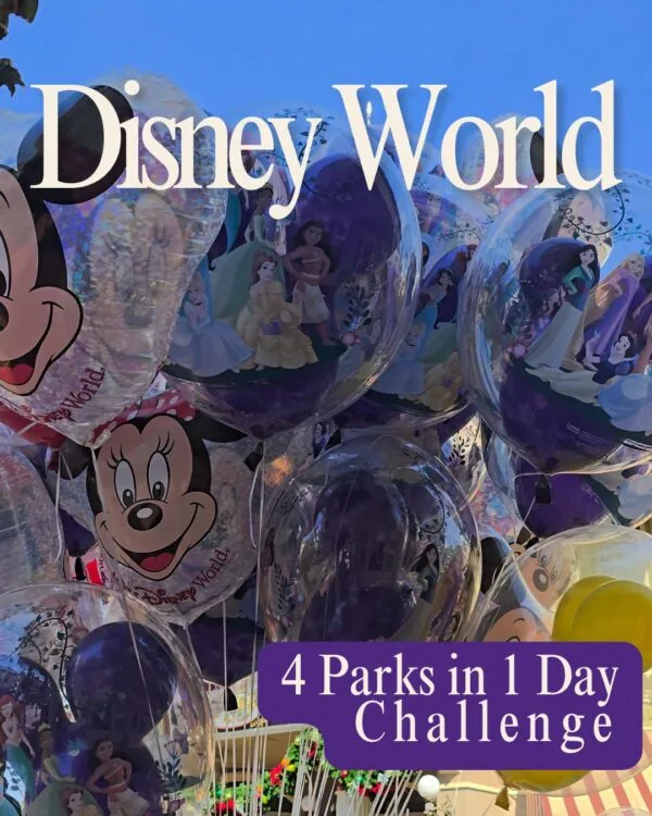 Disney World 4 Parks 1 Day Challenge WithOUT Personal Transportation 1 Disney World 4 Parks 1 Day Challenge WithOUT Personal Transportation Disney World's 4 Parks in 1 Day Challenge