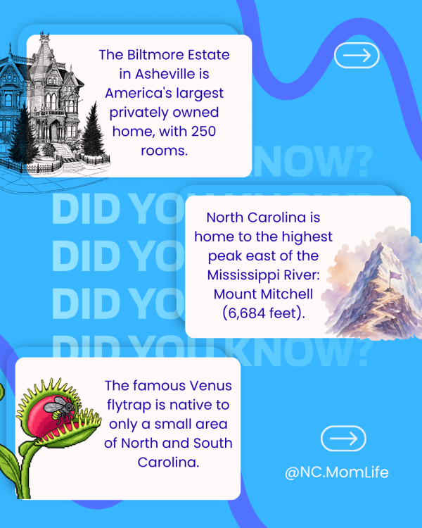 4 24 Fun and Unusual Facts About North Carolina That Might Surprise You When people think about North Carolina, they often picture beautiful beaches, breathtaking mountain views, and maybe even a glass bottle of Cheerwine. But our state is filled with fascinating stories, quirky facts, and hidden history that many lifelong North Carolinians don't even know.